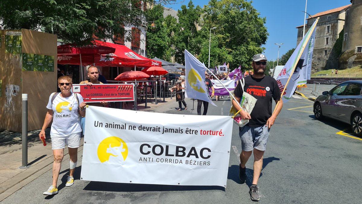 BeziersColbac's tweet photo. 👏 Merci bcp @CRAC_Europe &amp; @FBB_Officiel pour l'organisation de cette belle mobilisation à #Bayonne contre la #corrida !

😡 Jusqu'à quand faudra-t-il encore manifester pour que cesse une tradition qui érige en spectacle des actes de cruauté envers un animal ??

@EmmanuelMacron https://t.co/IT6PgwTJWM