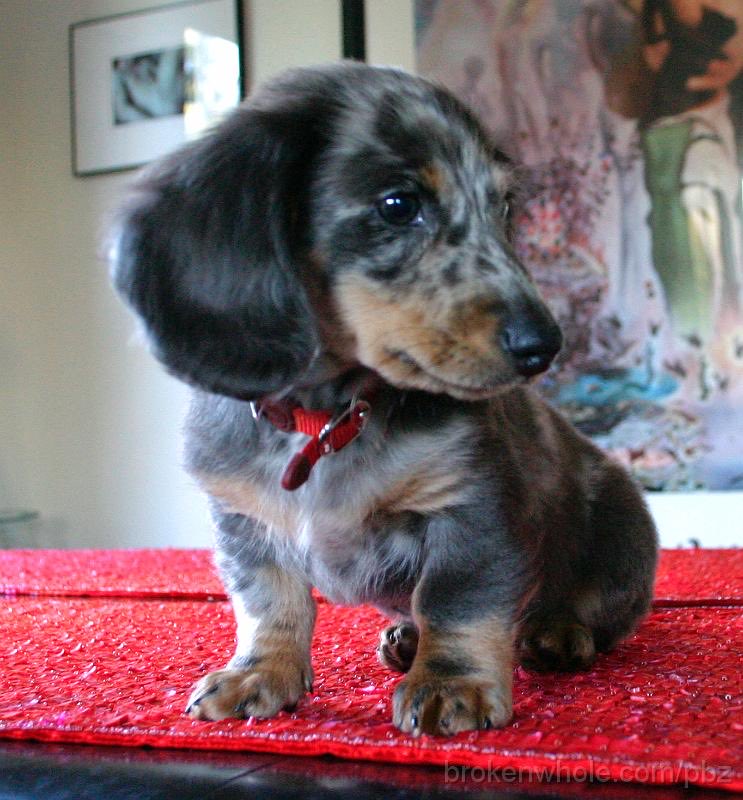 Prof. Dr. Benhur Lee, MD 🦠🧬🔬 tweet media