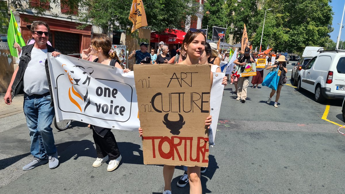 BeziersColbac's tweet photo. 👏 Merci bcp @CRAC_Europe &amp; @FBB_Officiel pour l'organisation de cette belle mobilisation à #Bayonne contre la #corrida !

😡 Jusqu'à quand faudra-t-il encore manifester pour que cesse une tradition qui érige en spectacle des actes de cruauté envers un animal ??

@EmmanuelMacron https://t.co/IT6PgwTJWM