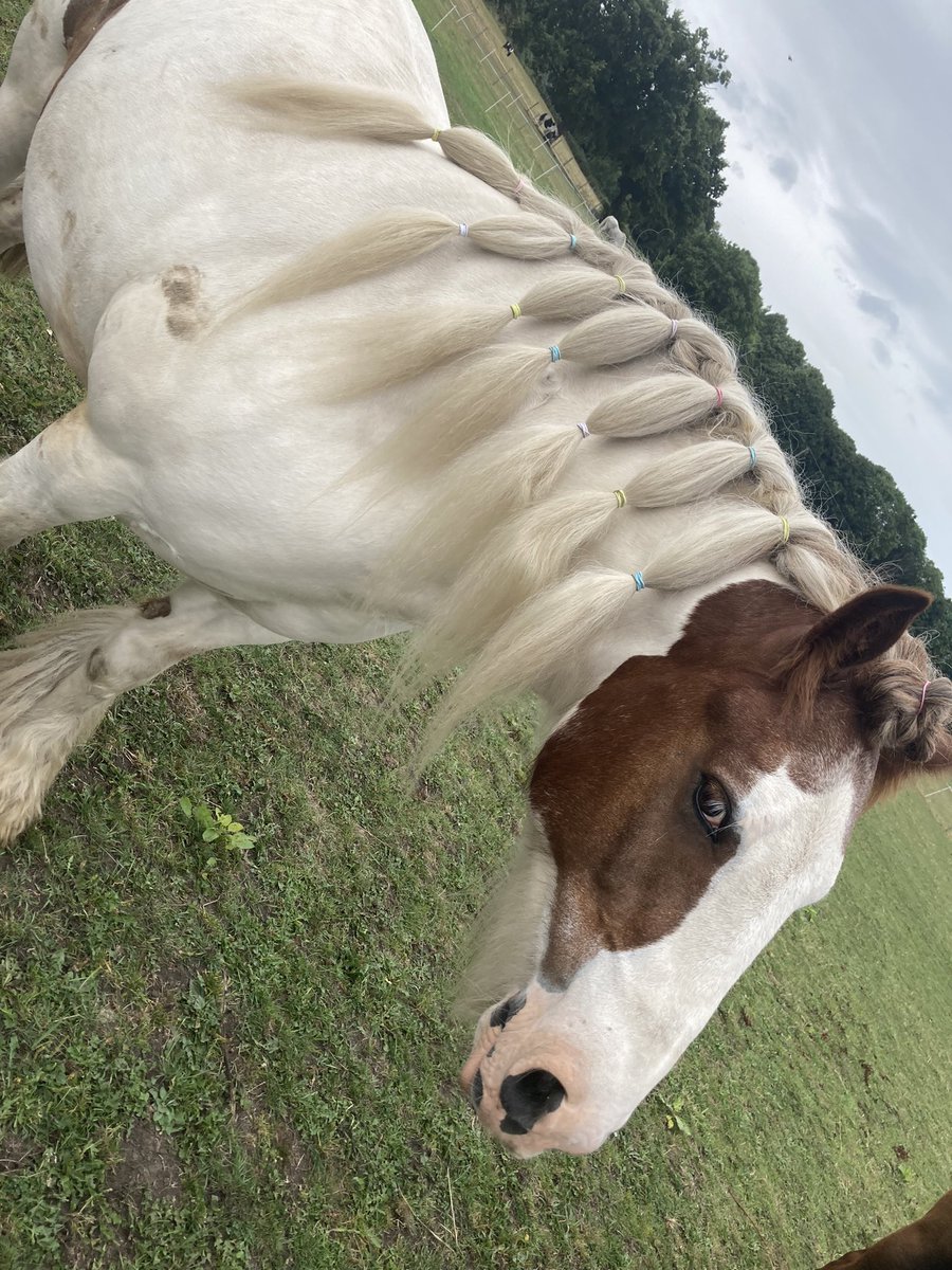 PressFresh's tweet image. Before, After, within 10 minutes 😂 #coblove #bedhead