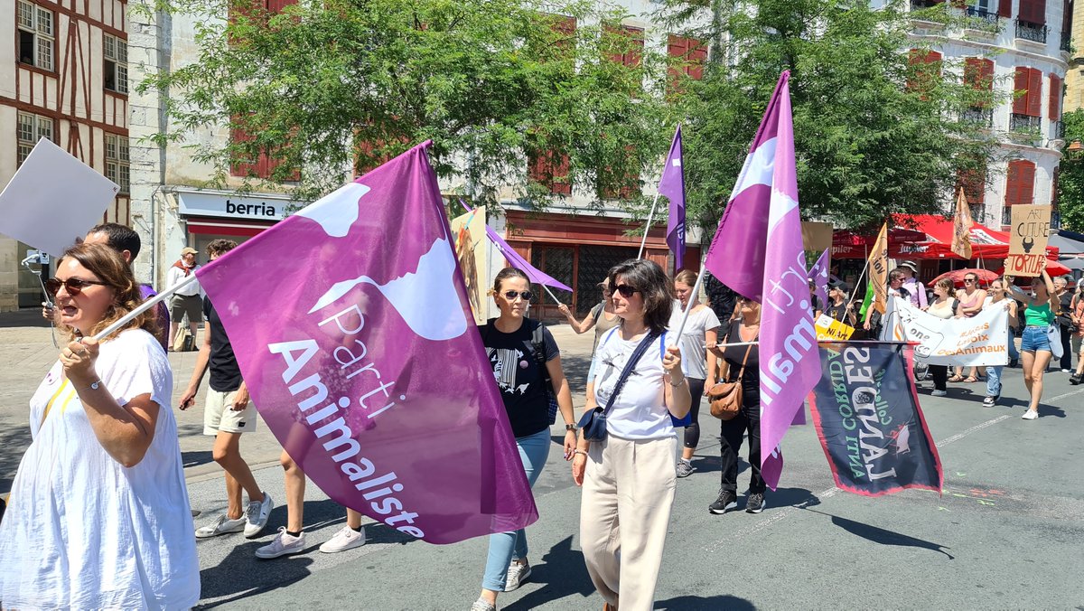 BeziersColbac's tweet photo. 👏 Merci bcp @CRAC_Europe &amp; @FBB_Officiel pour l'organisation de cette belle mobilisation à #Bayonne contre la #corrida !

😡 Jusqu'à quand faudra-t-il encore manifester pour que cesse une tradition qui érige en spectacle des actes de cruauté envers un animal ??

@EmmanuelMacron https://t.co/IT6PgwTJWM