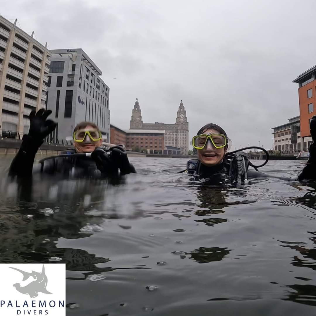 palaemon_divers's tweet photo. A day of @PADI Discover Scuba dives at Diver HQ celebrating a birthday fir each group!

Thanks for joining us! And have a fantastic birthday 🎂 

#liverpool #scubainthecity #Merseyside #tryscuba https://t.co/FQed3h5gbN