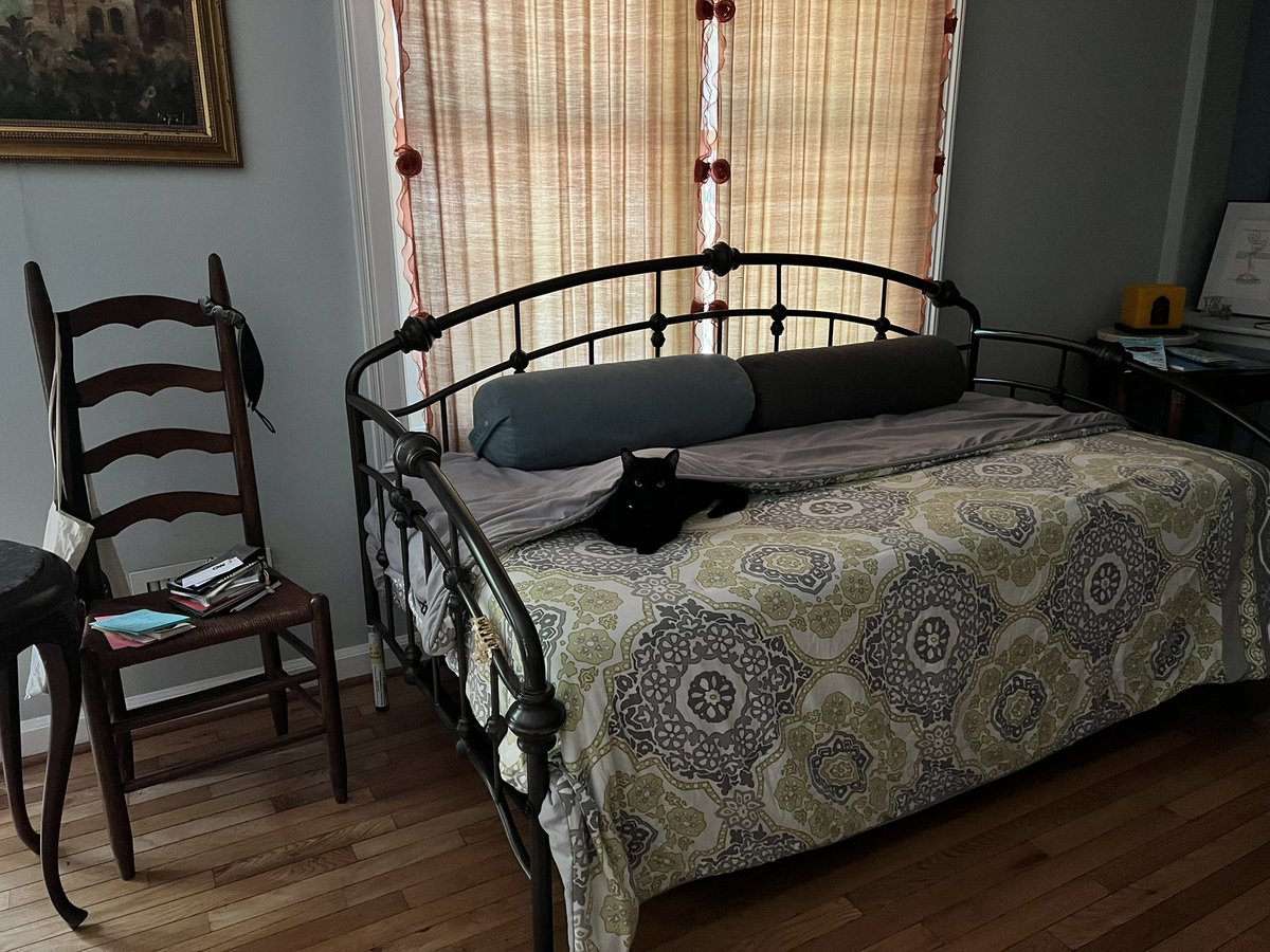 octavianasr's tweet photo. “If you think that it is only a cat then obviously you have never loved a cat.”

~ T.S.Eliot 

My #Love on my office’s daybed!! #Bissi 

#intention2022 #quote #Caturday #CatsOfTwitter https://t.co/n4M3o6IhCu