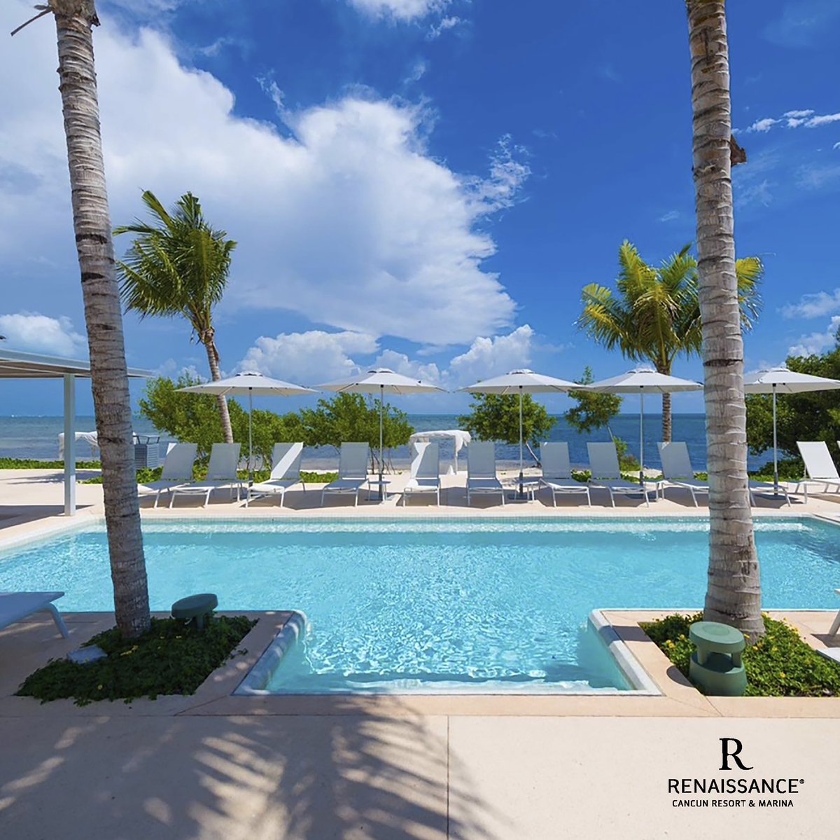 RenCancun's tweet photo. Con nosotros tendrás las vacaciones que siempre soñaste, conoce nuestro club de playa a 5 minutos del hotel. 💙🌴
.
.
.
.
#Cancún #CleandAndSafe #SafetyFirst #Vacation
#MarriottBonvoy #WeWillTravel #RenaissanceCancunResortAndMarina #Paradise https://t.co/VFunjCxq84