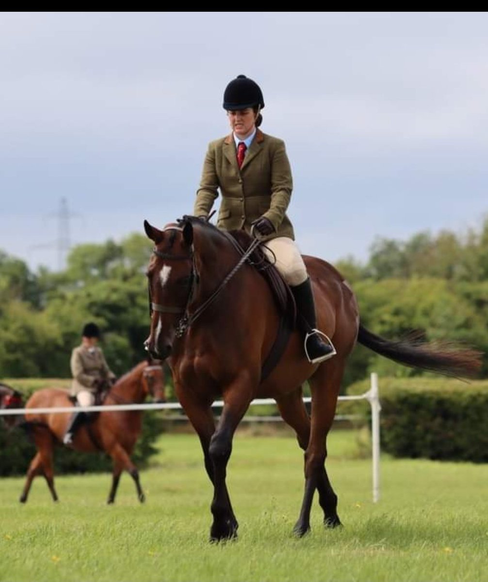 road_gp's tweet photo. In the ribbons today again at Tatts where we finished 3rd. GP was a superstar today & behaved like a pro 🥰 so proud of him. Massive thanks to everyone for your help. Gp and I would be lost without use 🤗
#foxley @BluegrassFeeds @TreoEileRIR @gelliott_racing https://t.co/Gs42dgM6HD