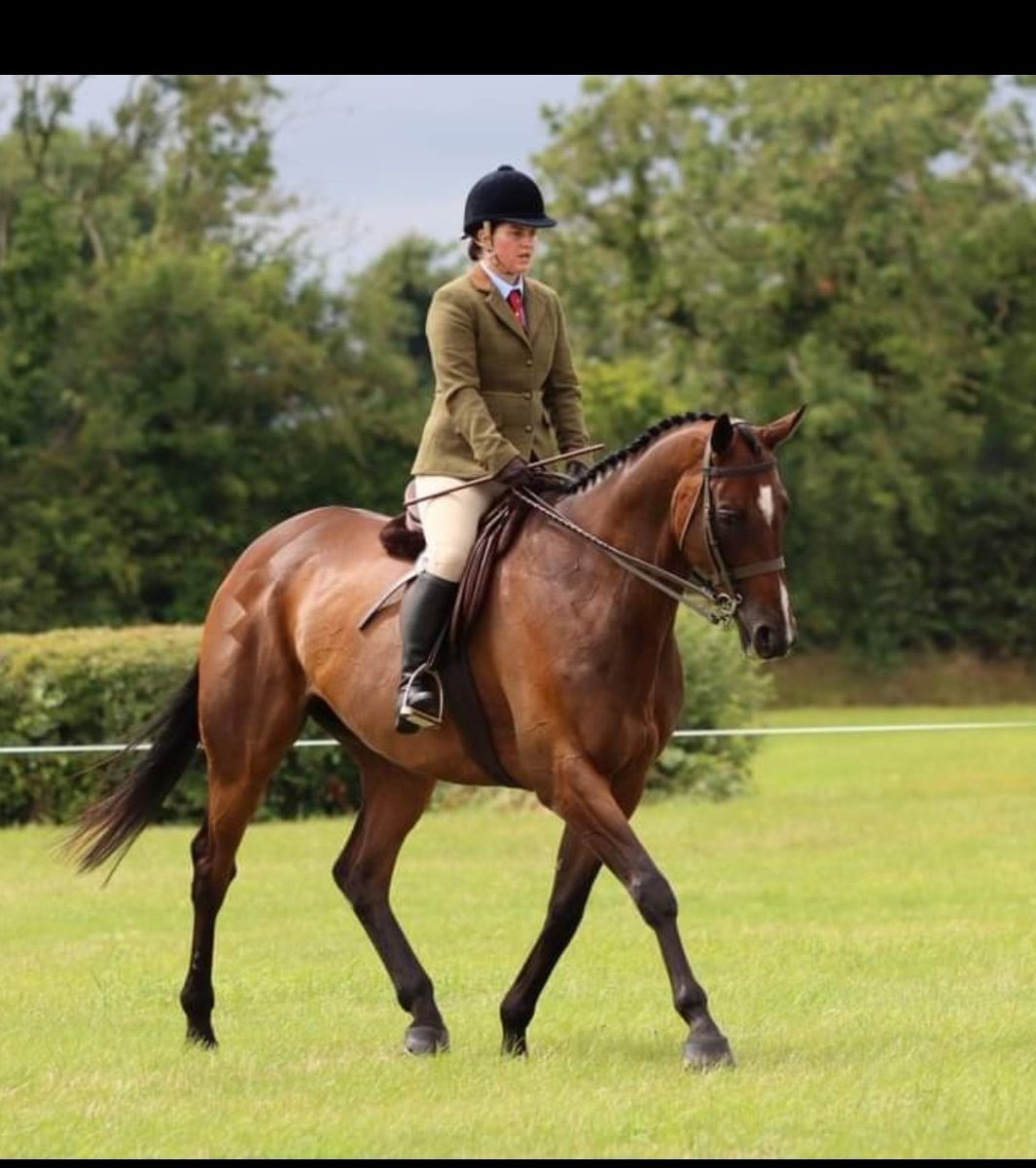 road_gp's tweet photo. In the ribbons today again at Tatts where we finished 3rd. GP was a superstar today & behaved like a pro 🥰 so proud of him. Massive thanks to everyone for your help. Gp and I would be lost without use 🤗
#foxley @BluegrassFeeds @TreoEileRIR @gelliott_racing https://t.co/Gs42dgM6HD