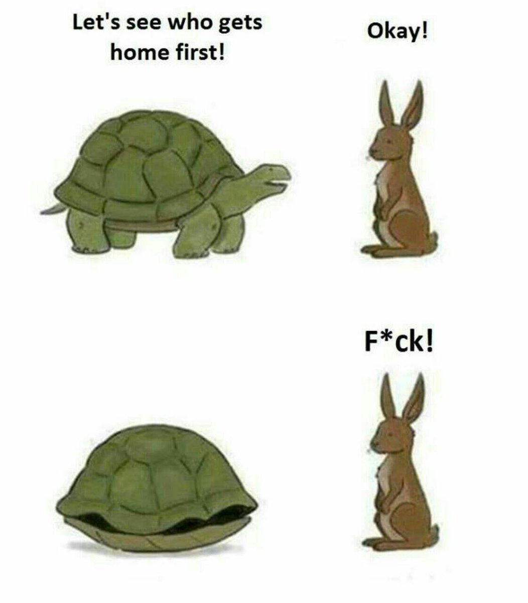 Hermes_Anunnaki's tweet photo. $TURTLE | #AwkwardTurtleBsc https://t.co/qdafRtIR8D