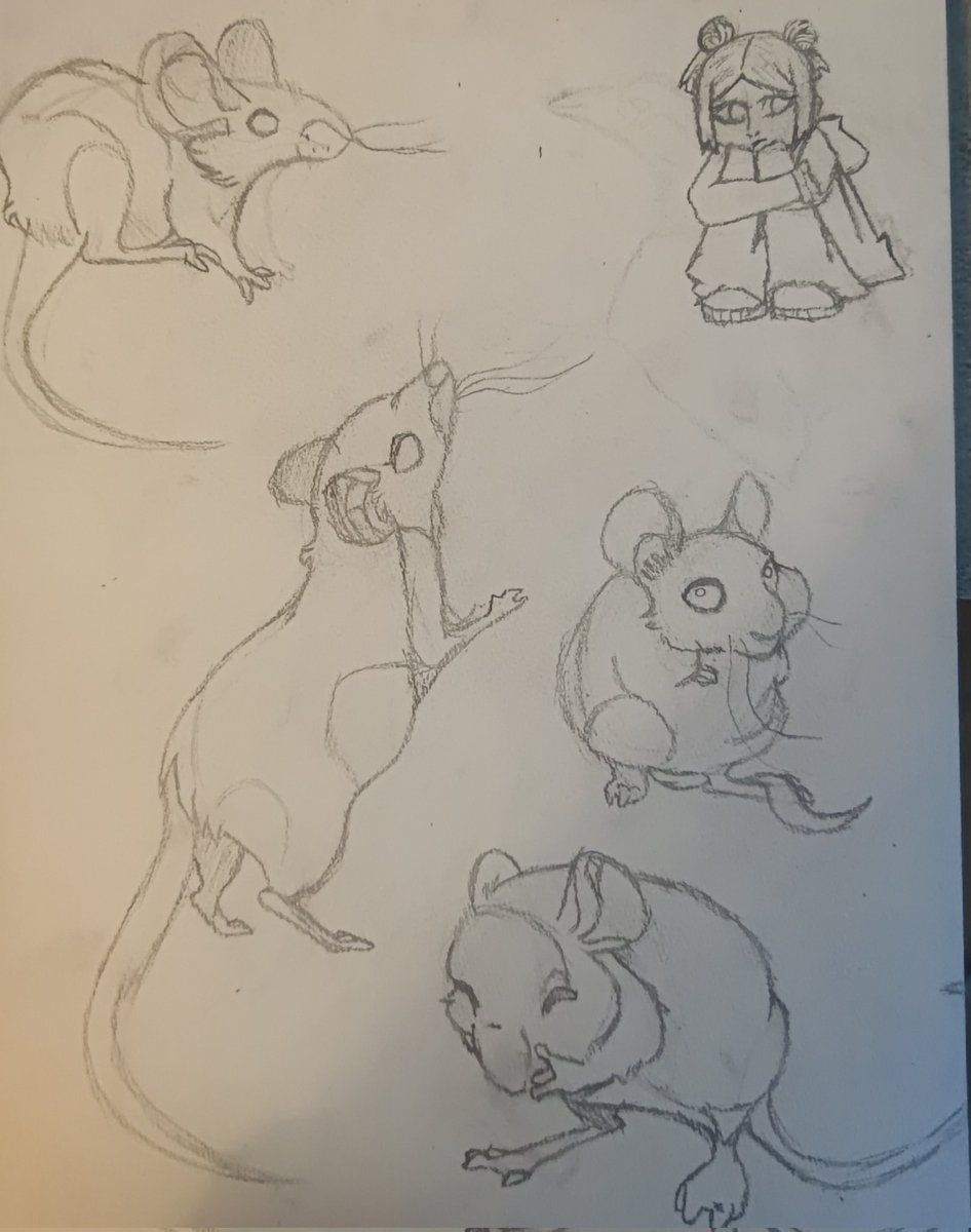 Kiwiisarabbit's tweet photo. Mouse sketch and a human #drawing #sketch #art #ArtistOnTwitter https://t.co/G9j34A6pwP