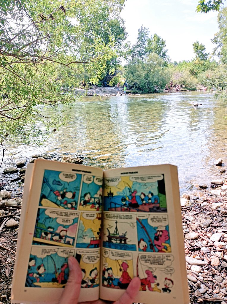 Raouuuuuu's tweet photo. Garder les essentiels 🏞️🦆 #MickeyParade https://t.co/40l4VL6PF2
