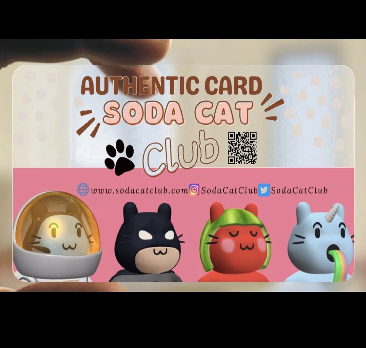 SodaCatClub's tweet photo. Hello @sodacatclub Family. Want to know more about what we doing? Come see our updates on discord and you will see some surprises. https://t.co/t251VbcRIq