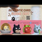 Photo by Soda Cat Club (@SodaCatClub)