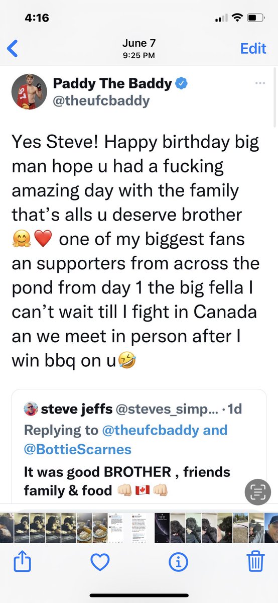 steve jeffs tweet media