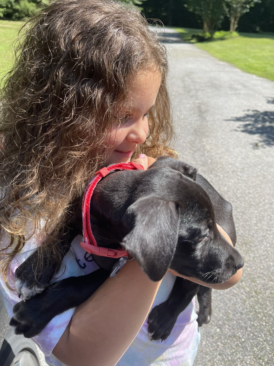 TraderJayna's tweet photo. She handles #dogrescue as well as she handles trades! #TraderKenzie spent some volunteer time helping transport @HomewardTrails “Mulan”-Anyone lucky enough to adopt this Princess-of-a-Puppy soul will be blessed with a calm companion who absolutely loves kiddos! @Tony_BATtista https://t.co/I5QwddxJD1