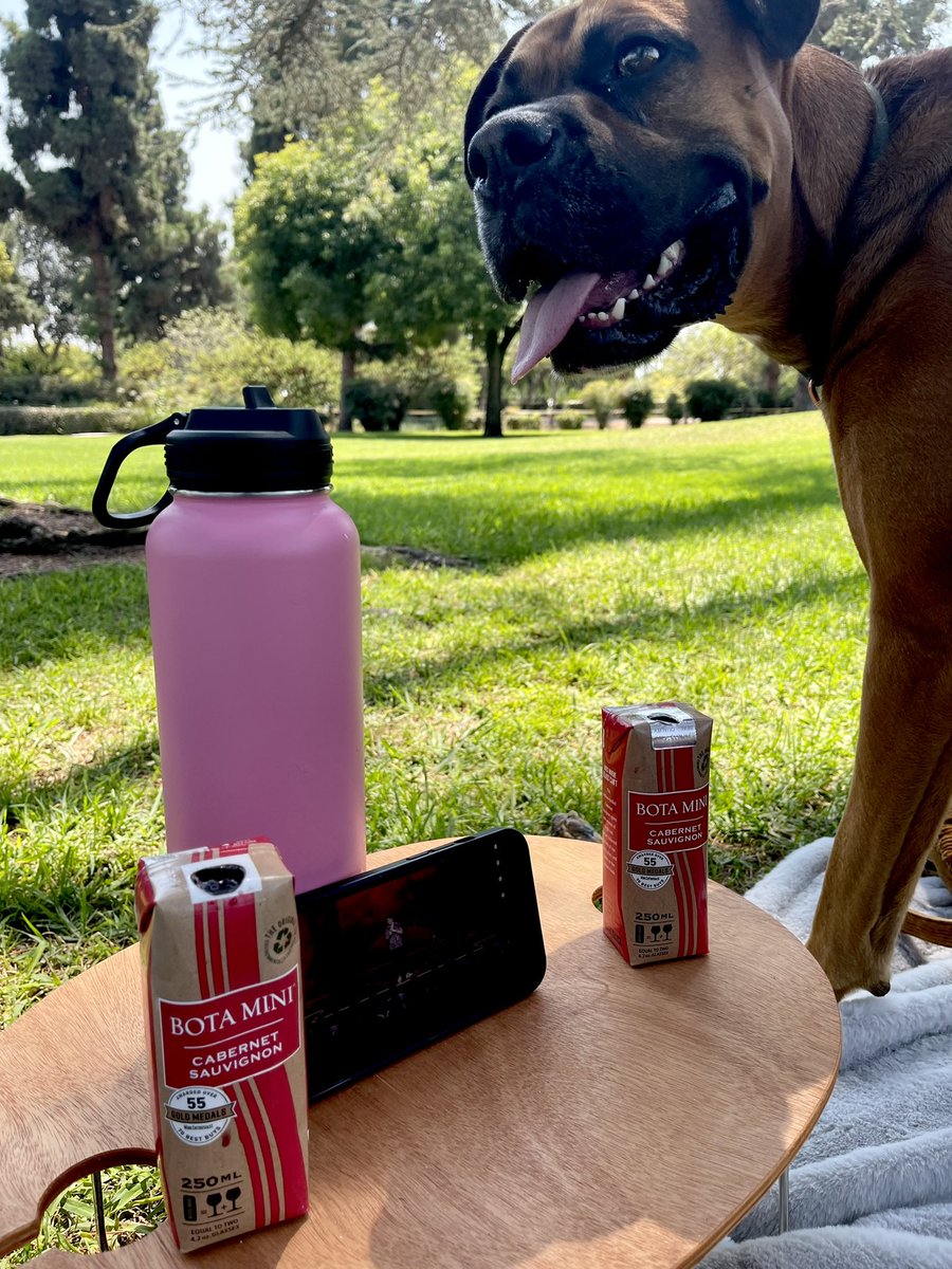 ohwhatjoy87's tweet photo. Picnic at the park to watch @andrewschulz   #infamous #andrewschulz #facejam https://t.co/3pItMNh1tt