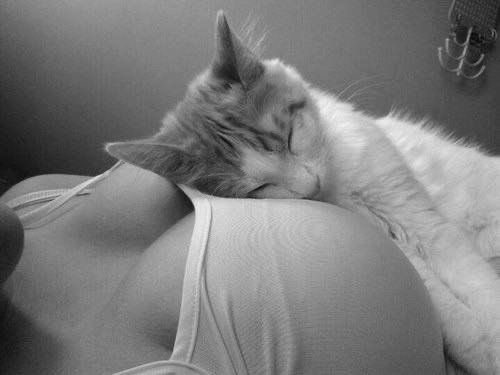 เอยรดา⛓🥵🔥 tweet media