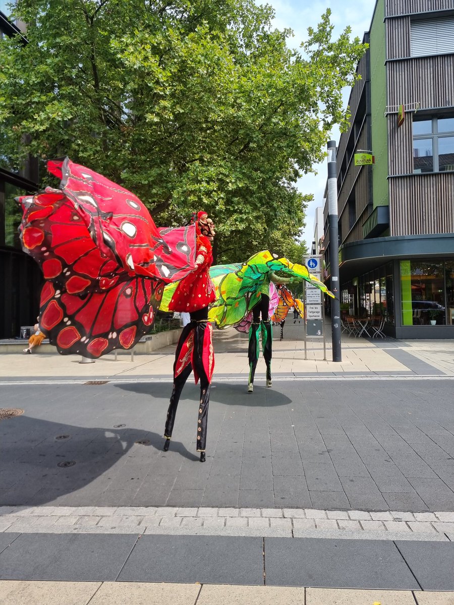 Manuela Lipak (@manuela_lipak) on Twitter photo 