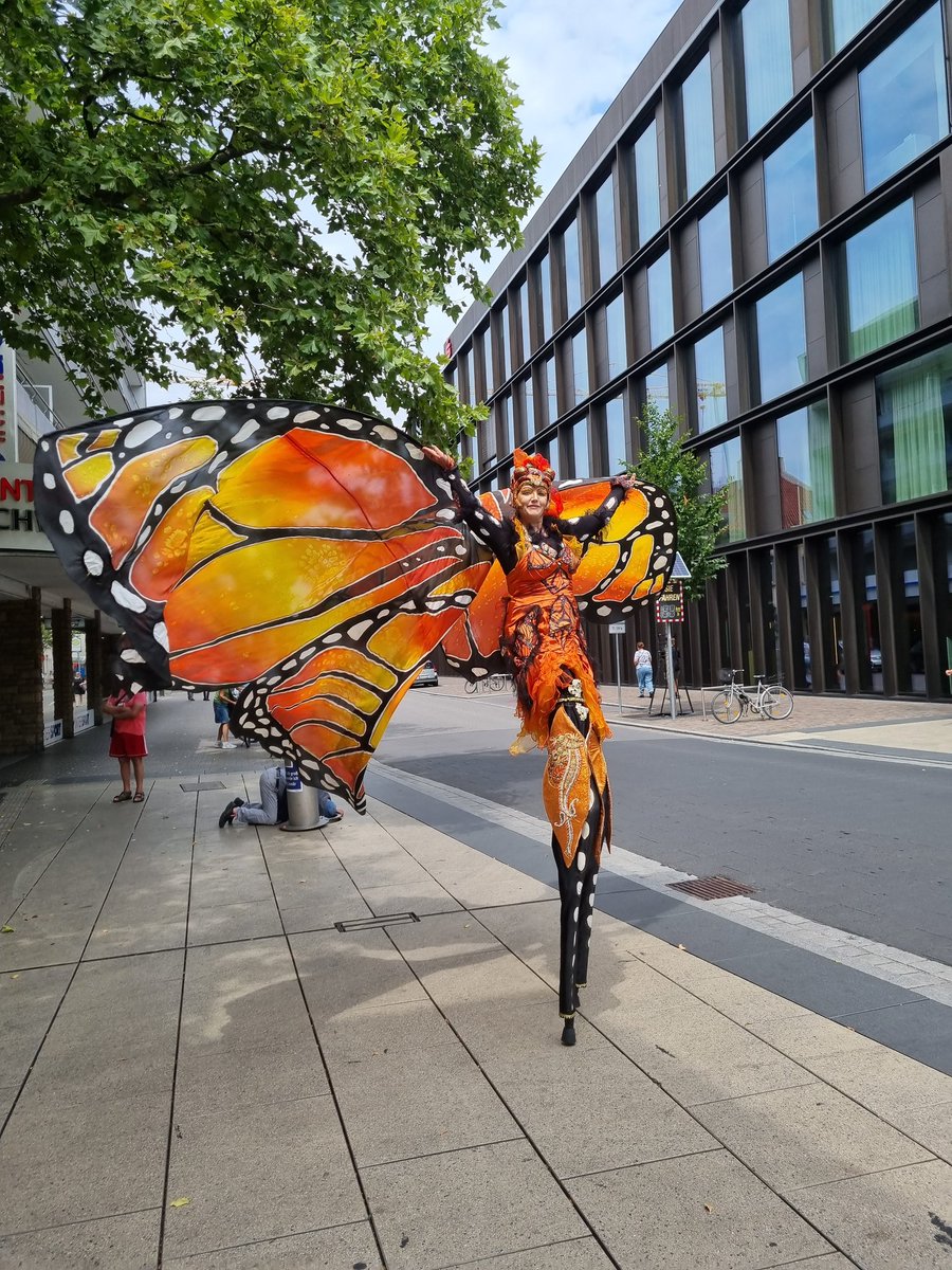 Manuela Lipak (@manuela_lipak) on Twitter photo 