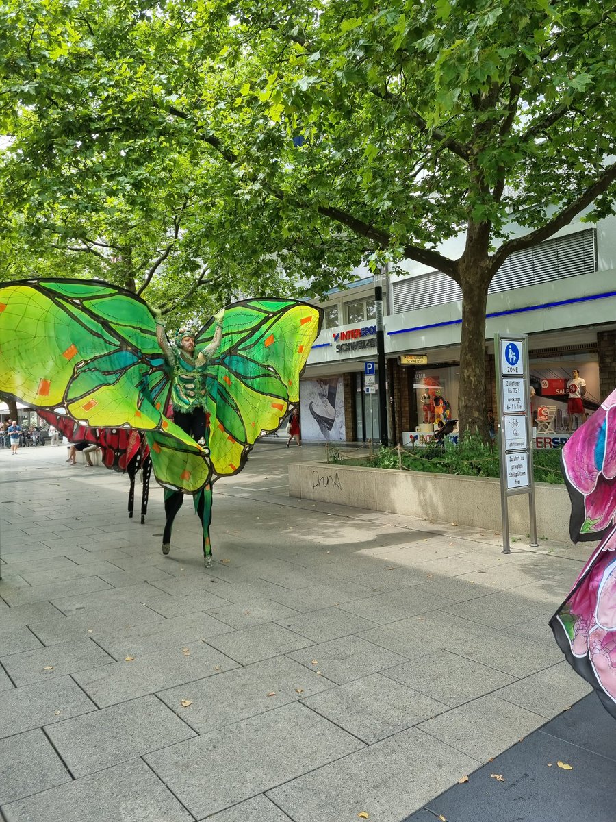 Manuela Lipak (@manuela_lipak) on Twitter photo 