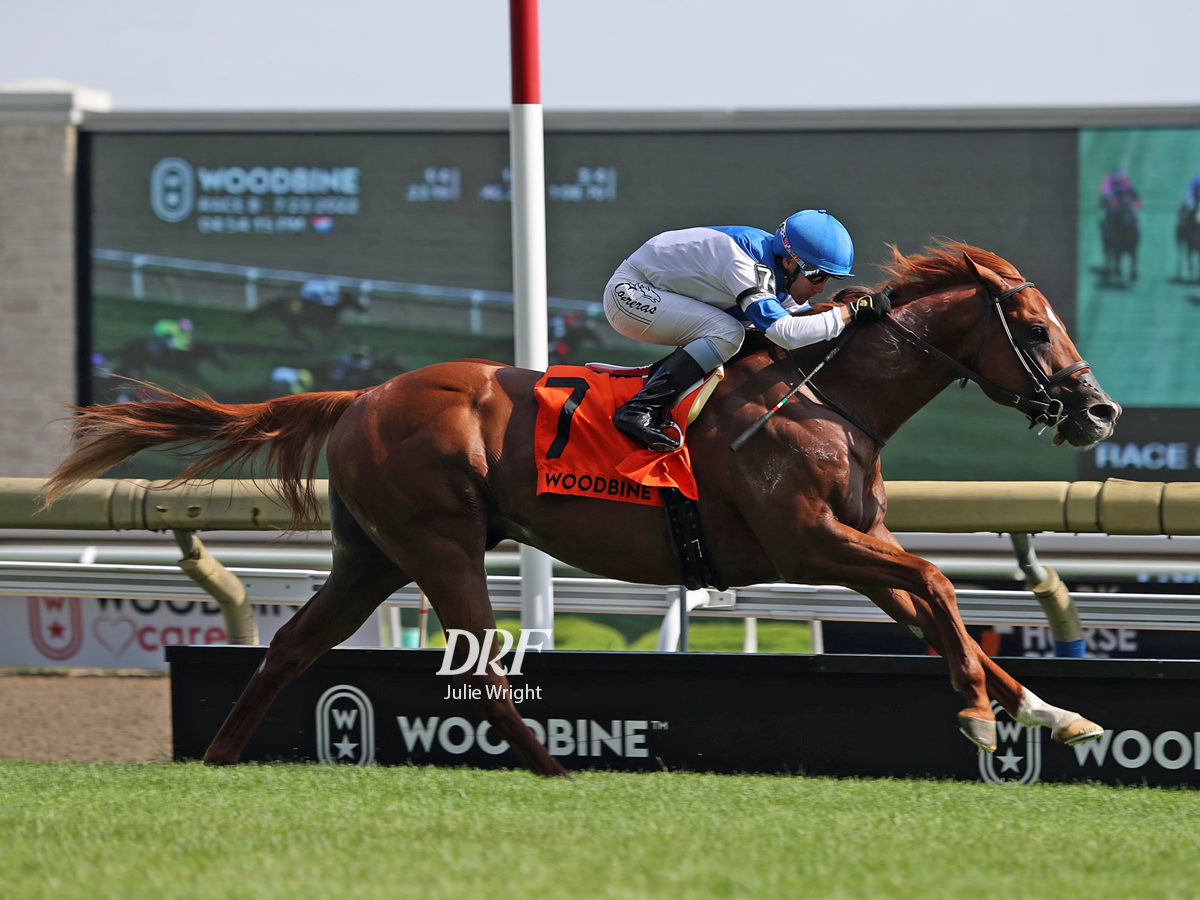 daily-racing-form-on-twitter-filo-di-arianna-wins-the-175-000