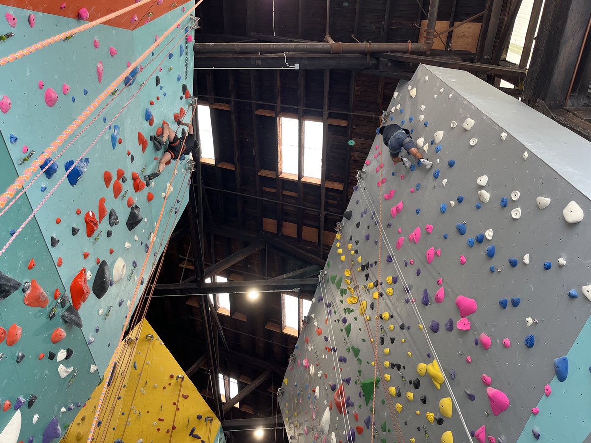 Veronica Siranosian tweet media