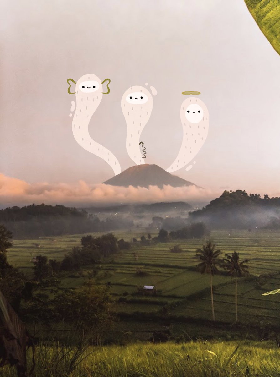 gmhannah's tweet photo. Been dreaming about drawing these little kind beings since I collected this photograph from @debsoon collection. https://t.co/11jzdu58Sz