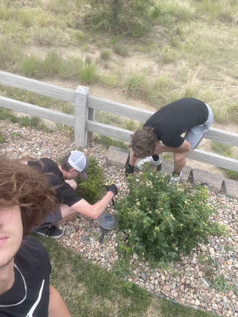 Bulky_Babes tweet media