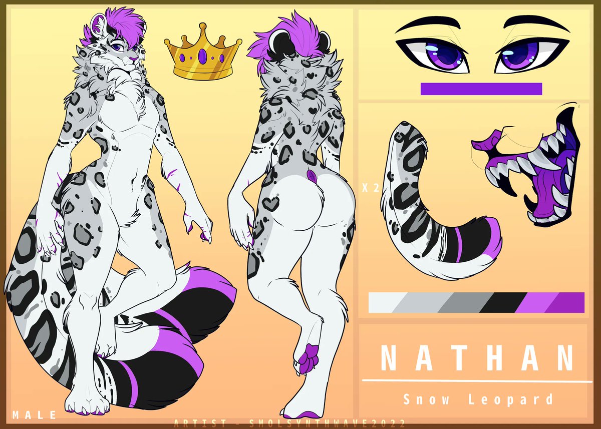 Nathan Snep tweet media