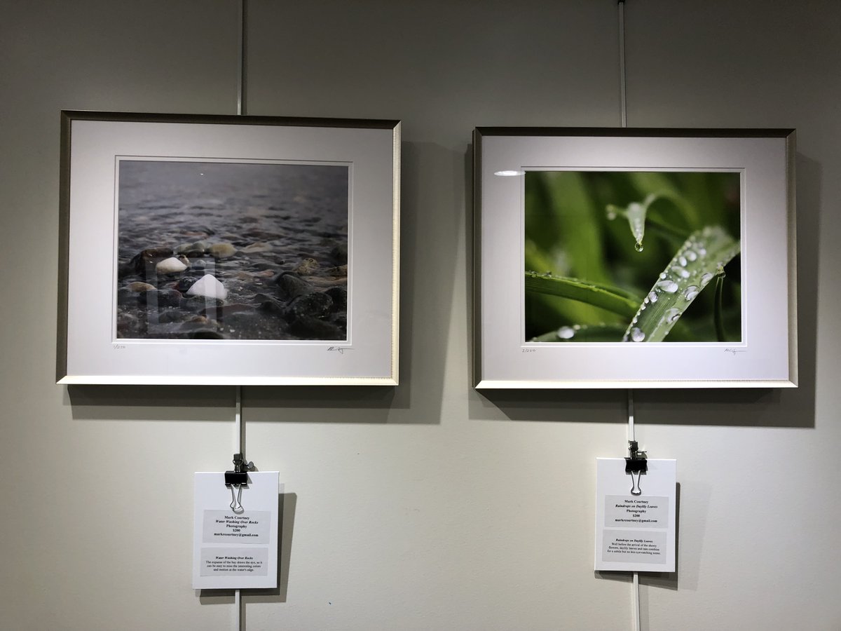CatherineZipf's tweet photo. Local to #RhodeIsland? Check out @markrcourtney's work at the @rogersfreelib!  (I am a ridiculously proud spouse, but surely you can see why! 💜💜💜) https://t.co/yB5eKJQk6m