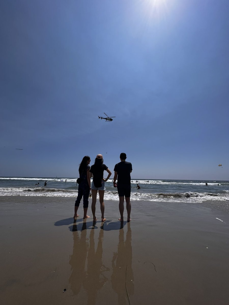 SolFlippa's tweet photo. Look whose at the beach @MagicEden https://t.co/3S8vtQK1hP