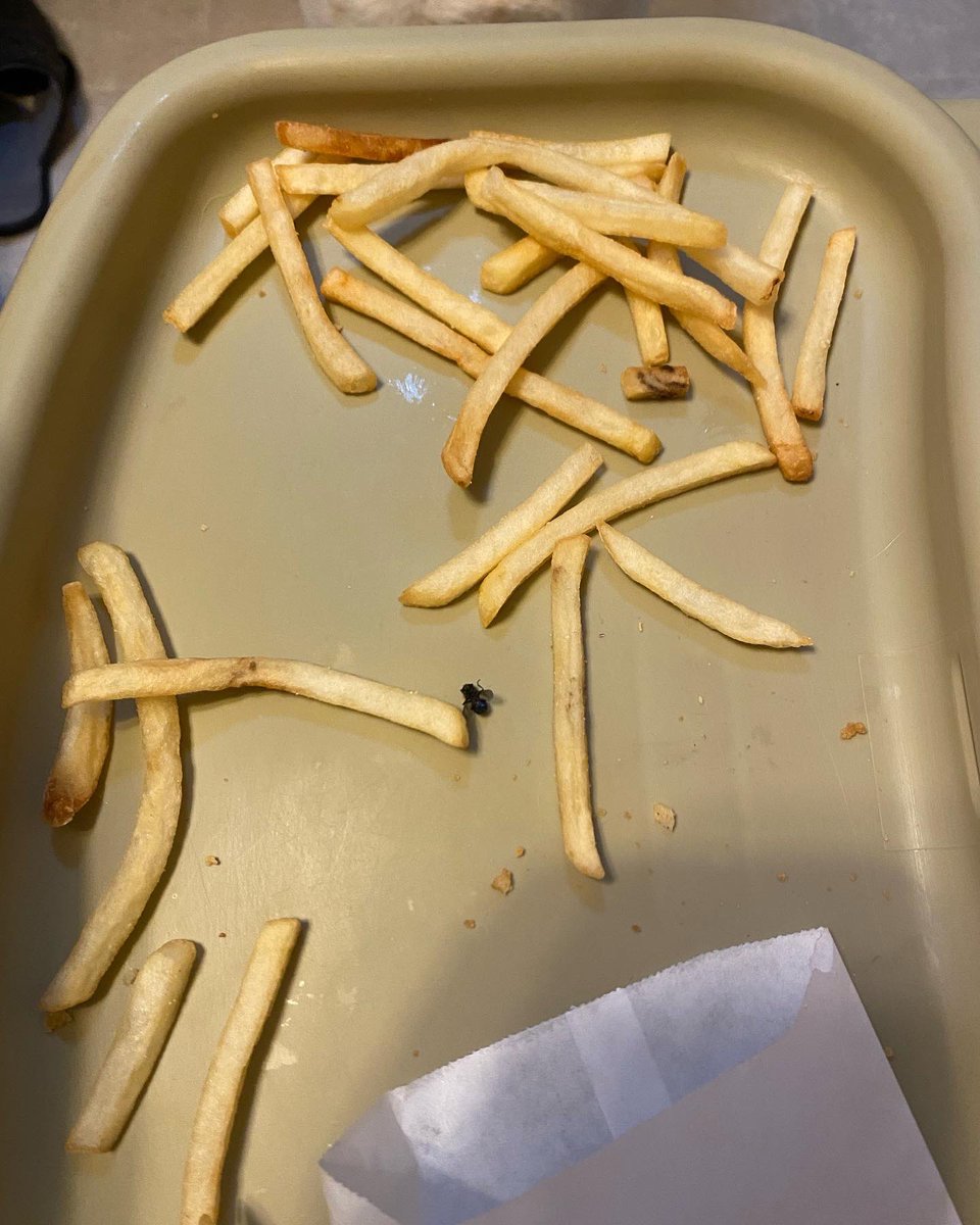 PomykalskiPhoto's tweet photo. When your kid is deathly afraid of bugs and finds a dead fly in his Happy Meal… @McDonalds https://t.co/N20jHaHV2d
