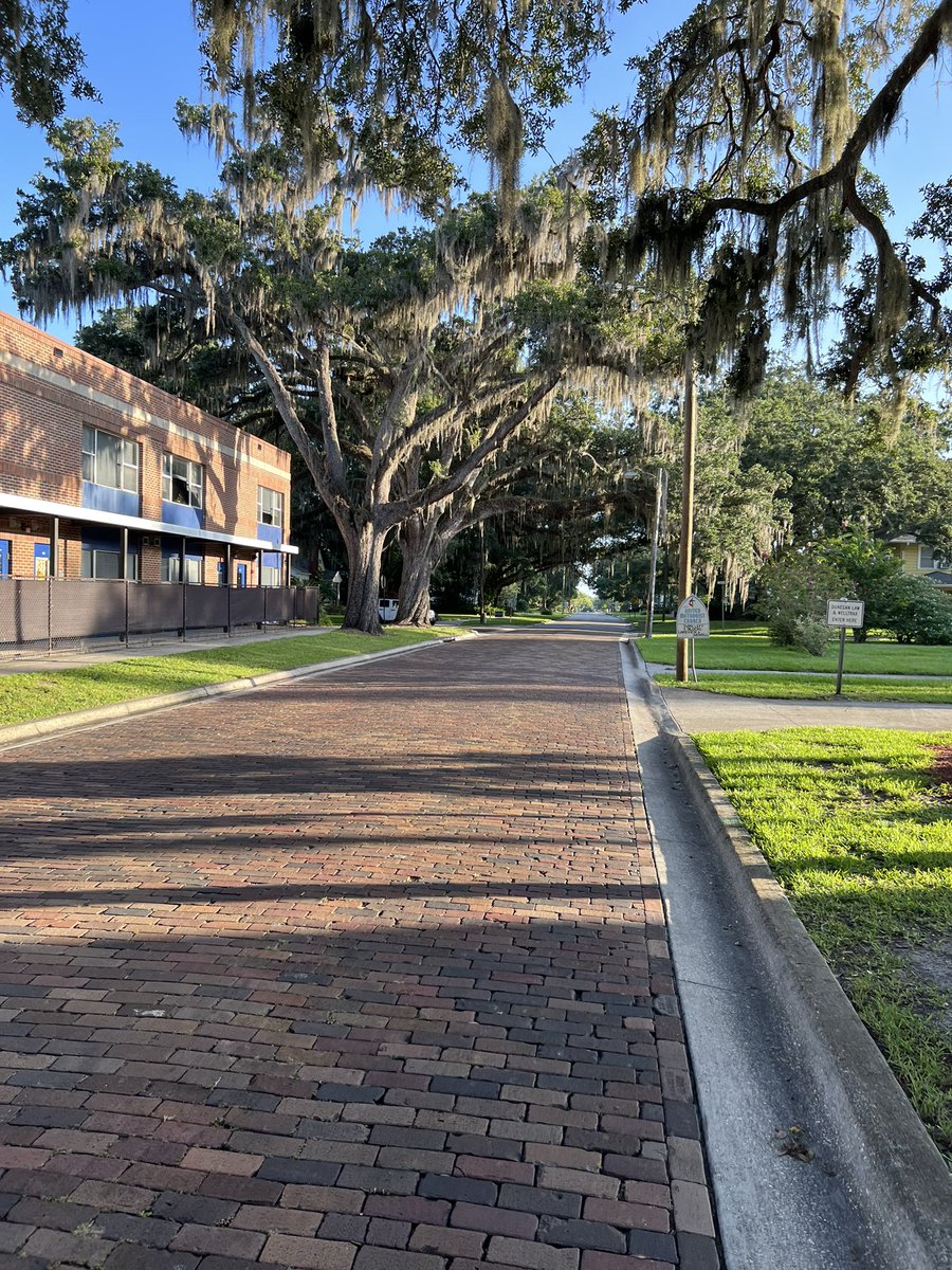 TeachToDream's tweet photo. Florida running is sweaty business.🥵  I truly enjoyed my 5 miles this morning. 🏃🏼‍♀️ 
#fitleaders  #run https://t.co/yfDI8TSCmU