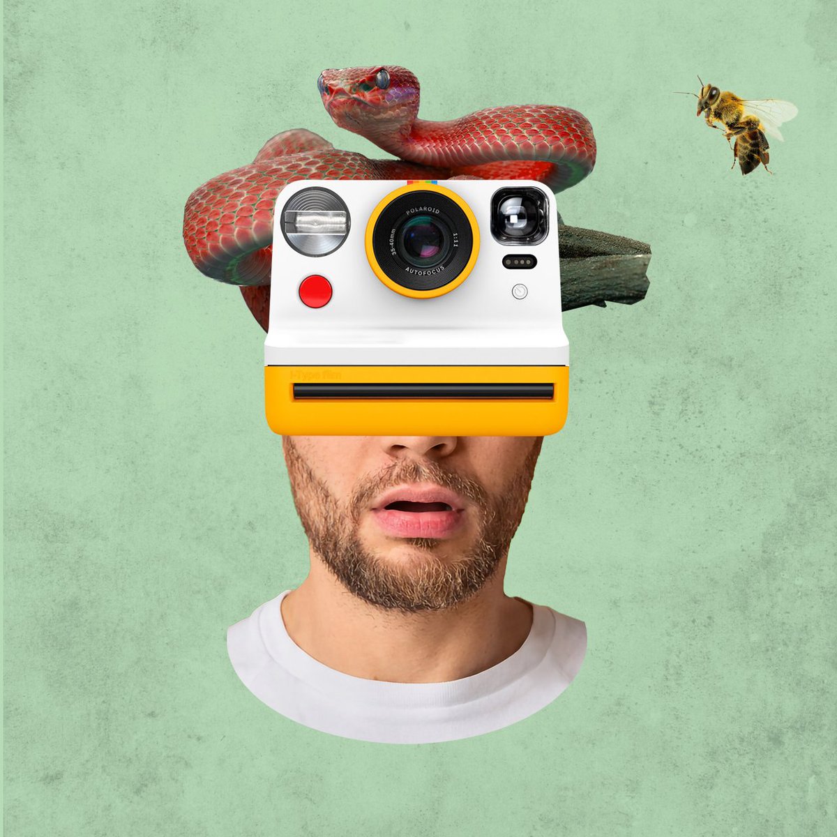 🔥MINT IS LIVE 🔥

Price: FREE
Chain: ETH
Supply: 2222

-250 NFT to sold out ⏳

🎉🎉 FREE MINT 🎉🎉
collagebots.com

#FreeMint #NFTgiveaways #NFTcommunity #NFTartist #NFTdrop #Polaroid #nftphotography