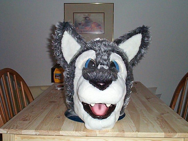 Furry Archive tweet media