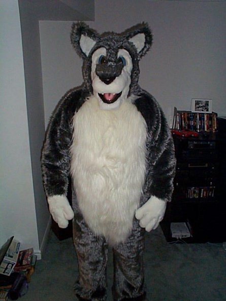 Furry Archive tweet media