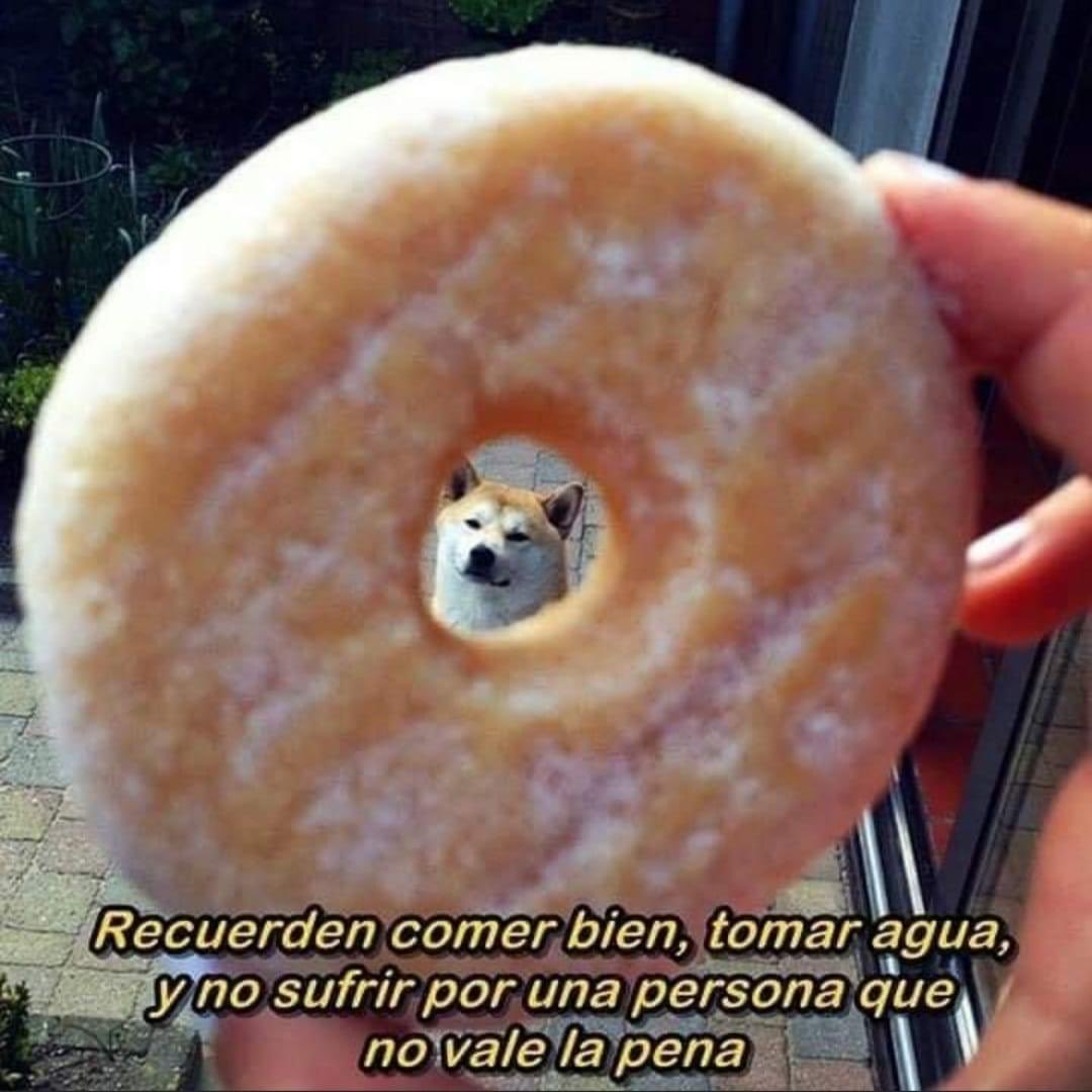 DiloConPerritos's tweet photo. Consejo del día. https://t.co/jK0hd9331m