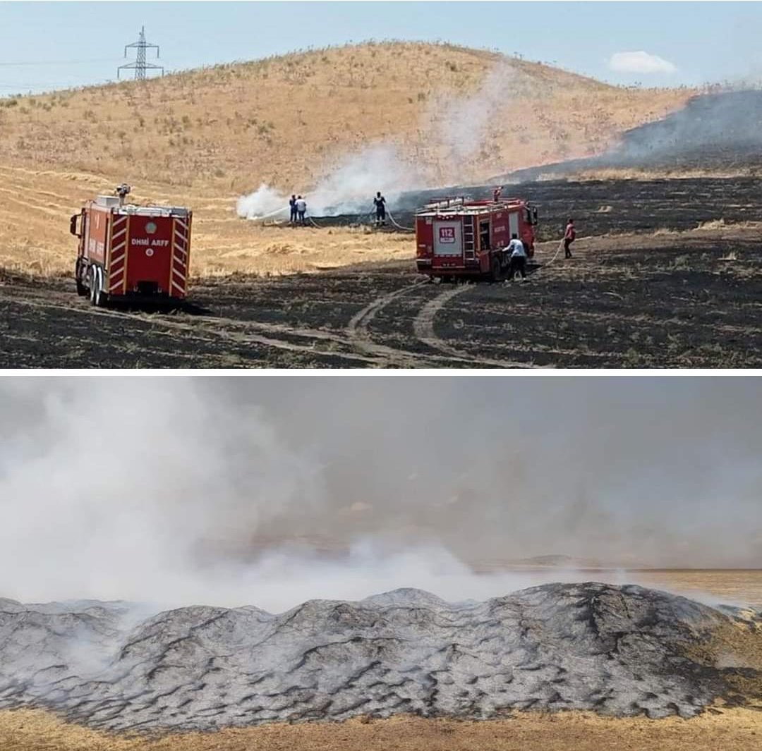 aliosmanonder34's tweet photo. Bugün Siirt'te 100 ton buğday daha yanarak kül oldu. Her gün en az iki ilimizde buğday yangını var. Bu konuda derin bir sessizlik var. Gözümüzün önünde bir kıtlık süreci, bir de orta sahada oynanan tahıl oyunu! Tonlarca buğday son 1.5 ayda kül oldu. Resmi açıklama yok! #SONDAKİKA https://t.co/MldgyyD9Ht