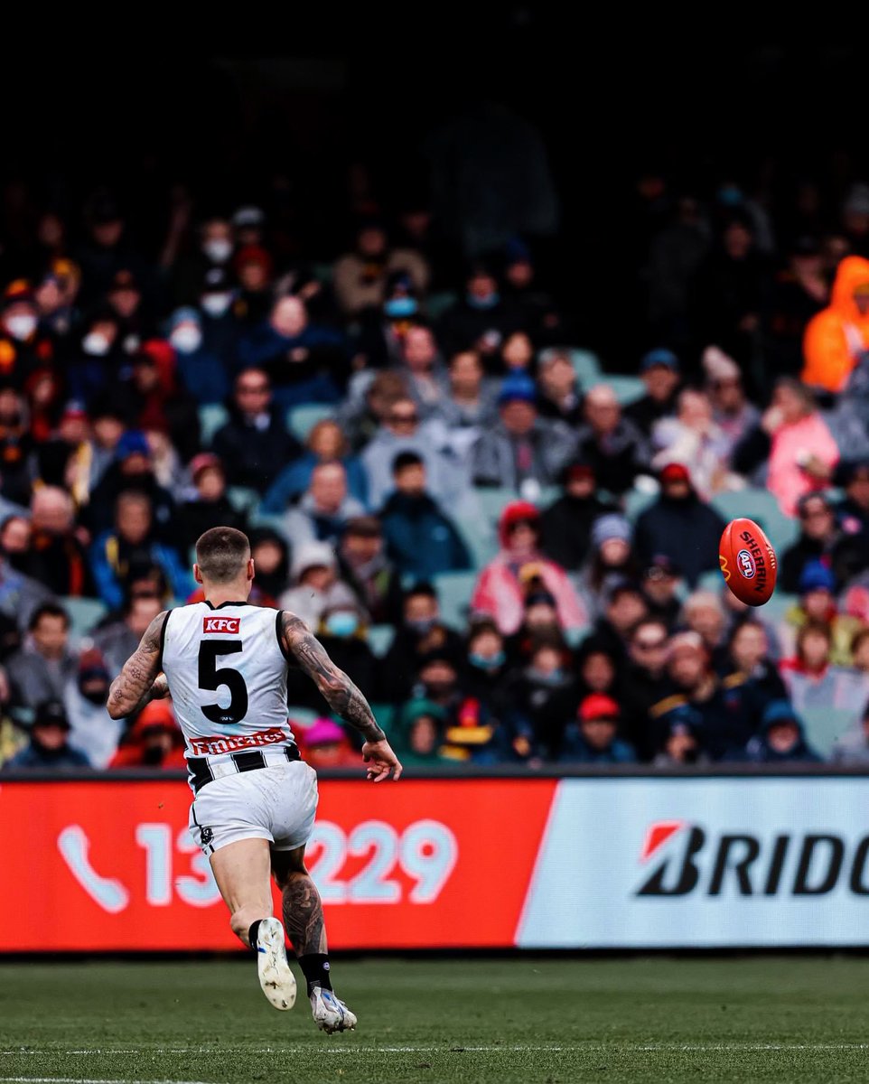 PiesNation tweet media