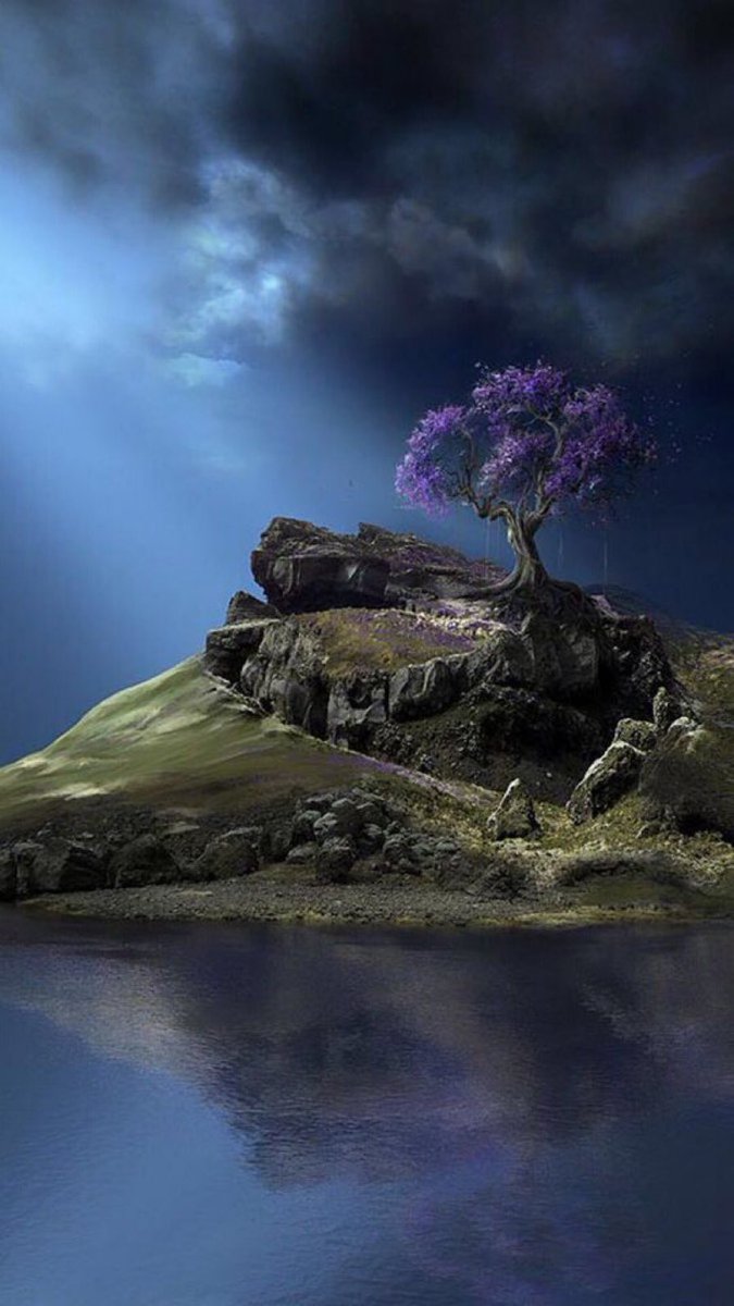 hidislvr's tweet image. 