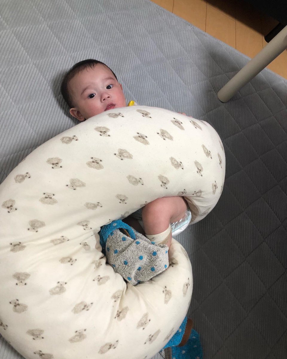 htr0308's tweet photo. 8ヶ月の息子ももう少しで9ヶ月になるニダ🤟
大きくなったなあ🐥⸒⸒ https://t.co/xiRIfMpxGL