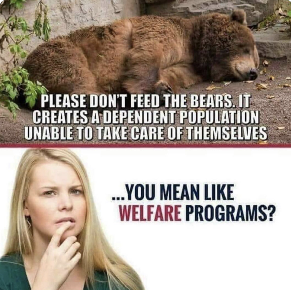 . (@basedibrett) on Twitter photo 