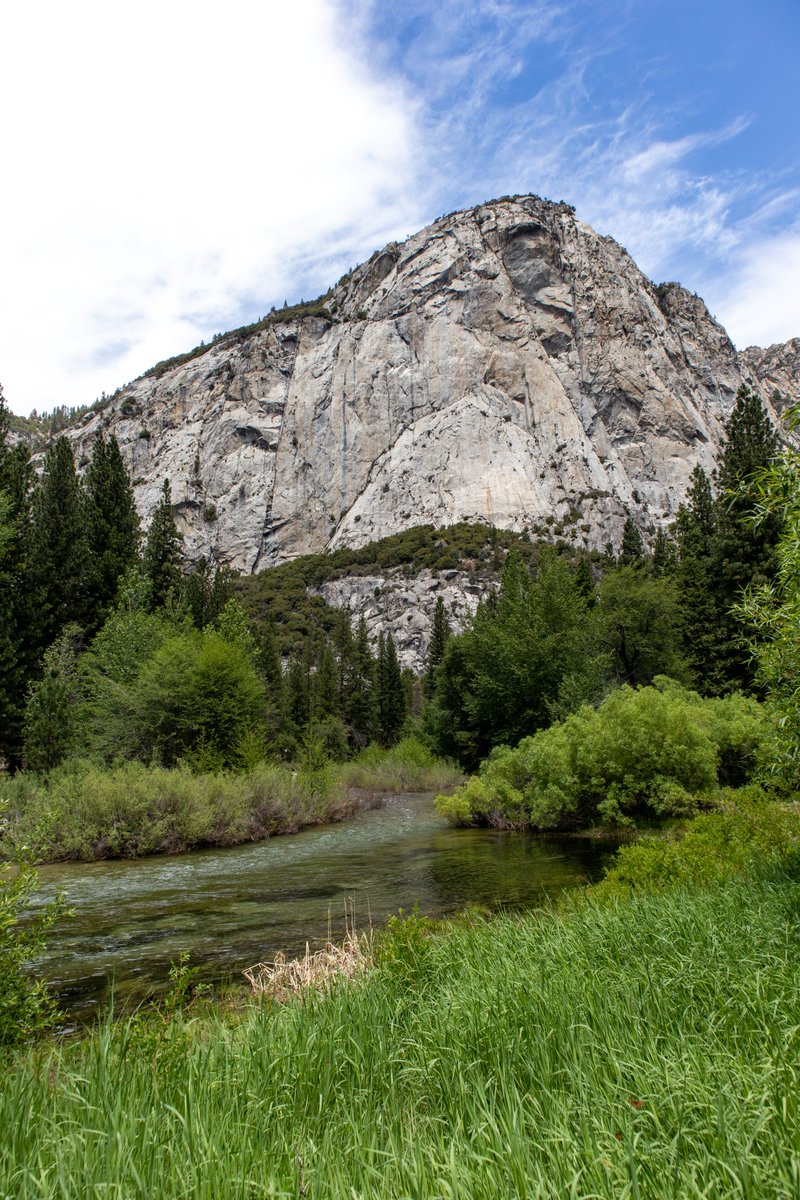 FiggyPuddingPaw's tweet photo. Meadow View - Kings Canyon Park, California

Art prints and more available in my shop!  📷📷📷
https://t.co/gNKk7YxTMk

#landscapephotography #ThePhotoHour #photography https://t.co/O9j8dmoglD