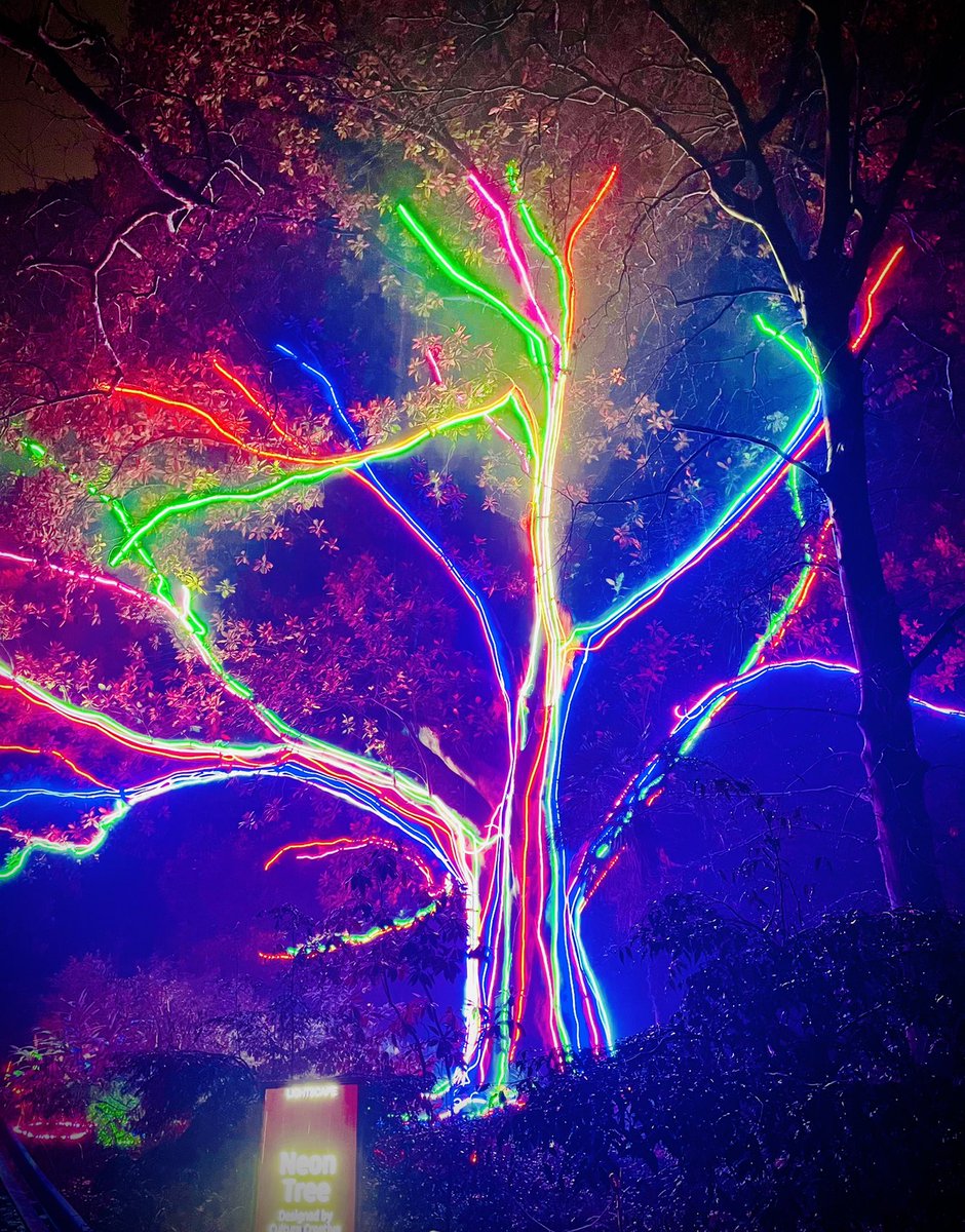 Git branching visualised @ Lightscape
