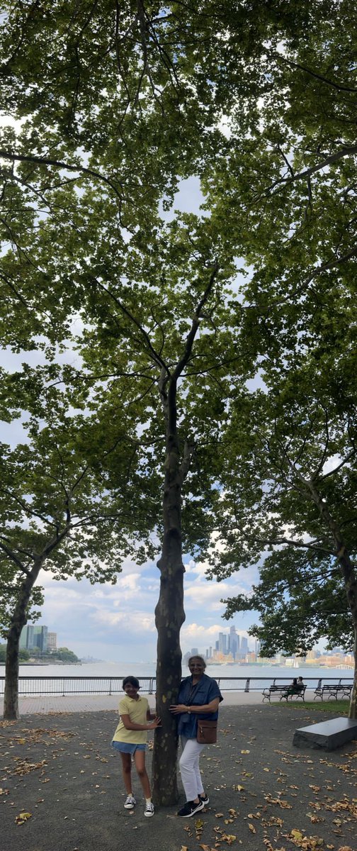 Hugging 🌲 trees.
Two Generations Together!  #SDG15 <a href="/RiseUp4SDGs/">SDG's : The Rising</a>
<a href="/sdgchoupal/">@sdgchoupal #CollectiveSDGAction</a> <a href="/charuchhabra2/">Dr. Charu Chhabra</a> <a href="/shardapullabha2/">sharda pullabhatla</a>