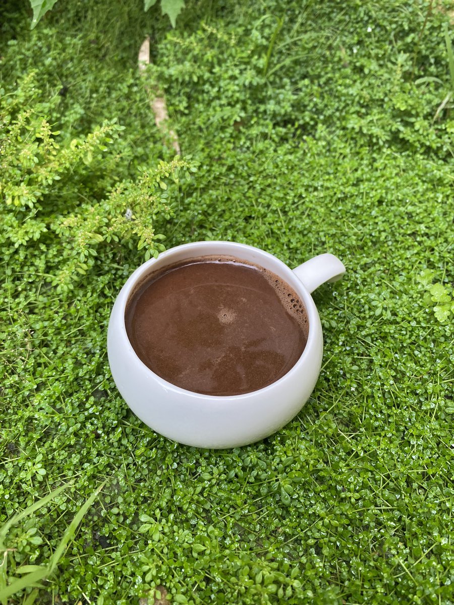 _jin16's tweet image. What’s your chocolatey Sunday be like?

#Sikwate #Tablea #HotChocolate #SundayMorning #SundayThoughts #Sunday
