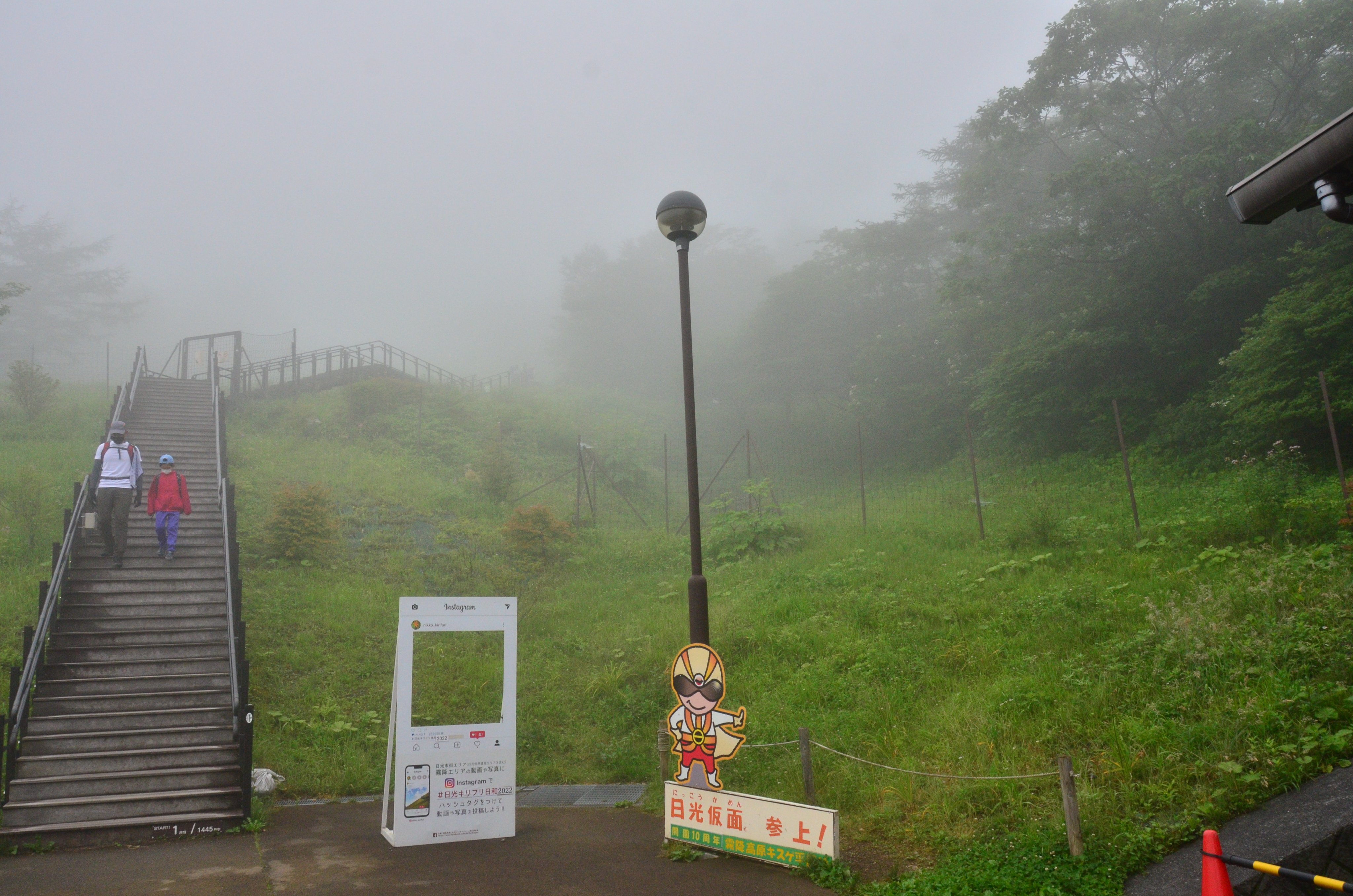 霧んさん 霧降高原キスゲ平 Kisugedaira Twitter