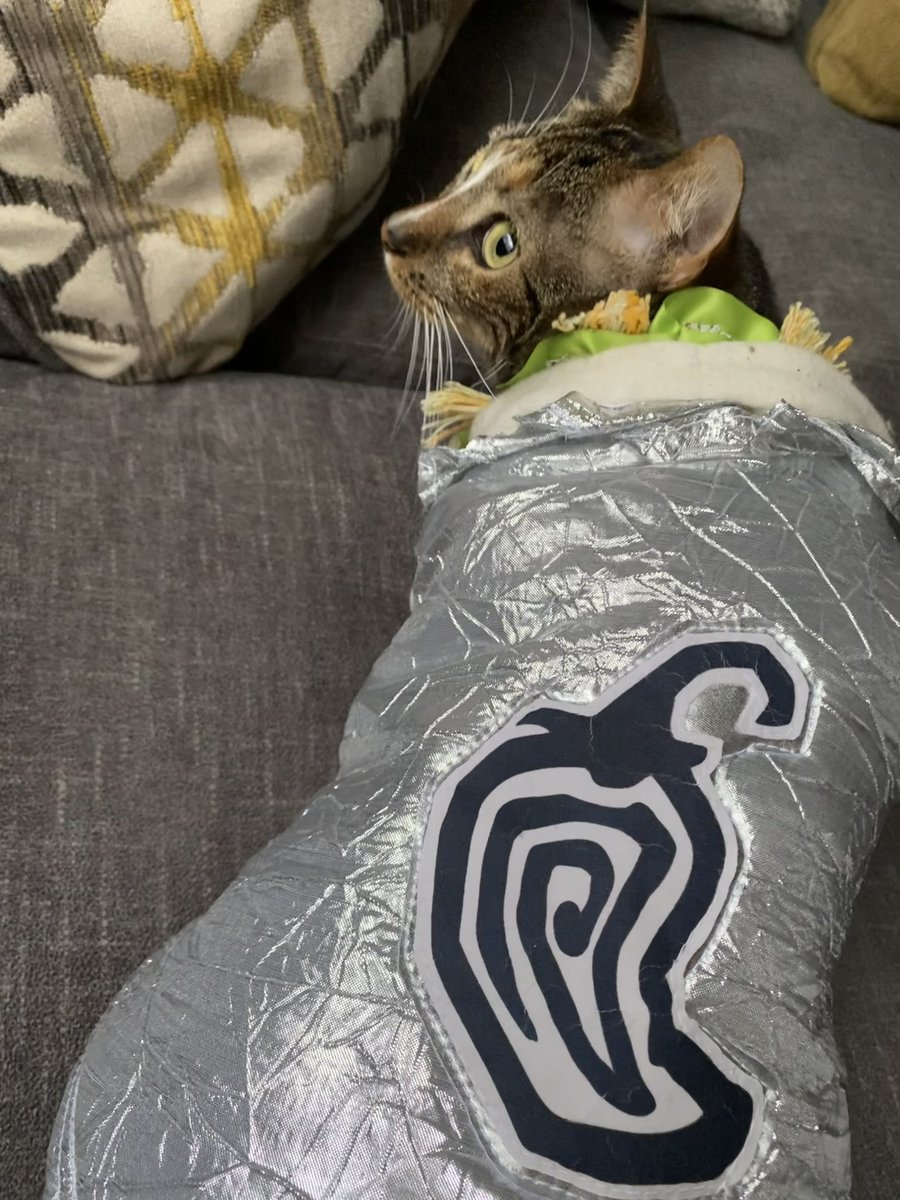 my little burrito 😍