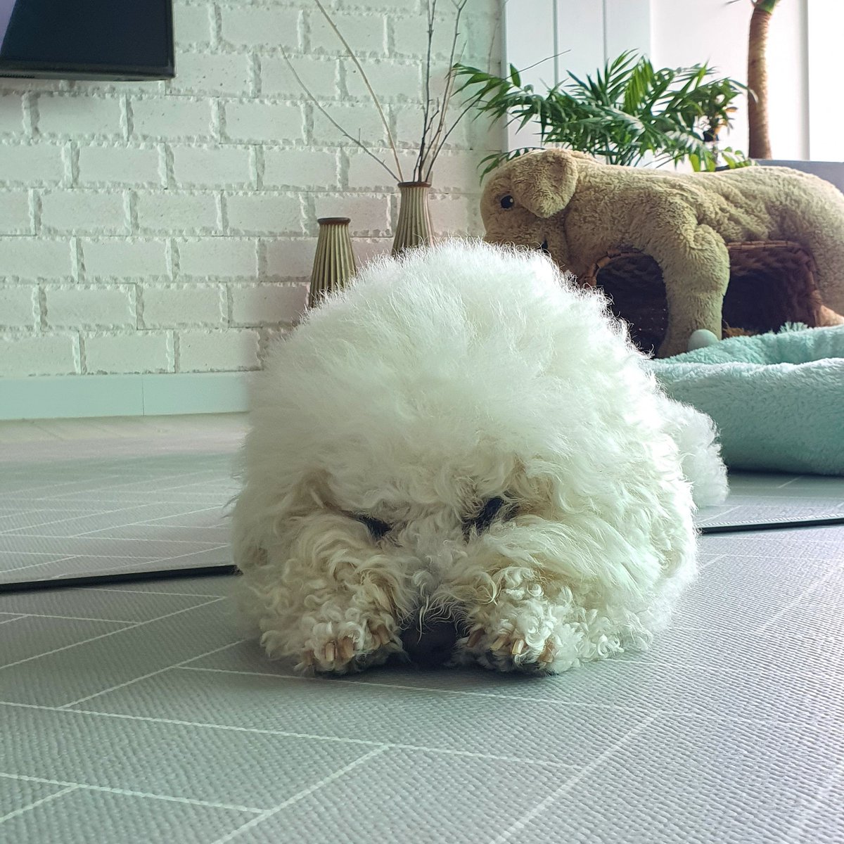 leekwangjae's tweet photo. 인간은 다른 사람처럼 되고자 자기 잠재력의 1/4를 상실한다. 쇼펜하우어 https://t.co/ViHsmUKrz8