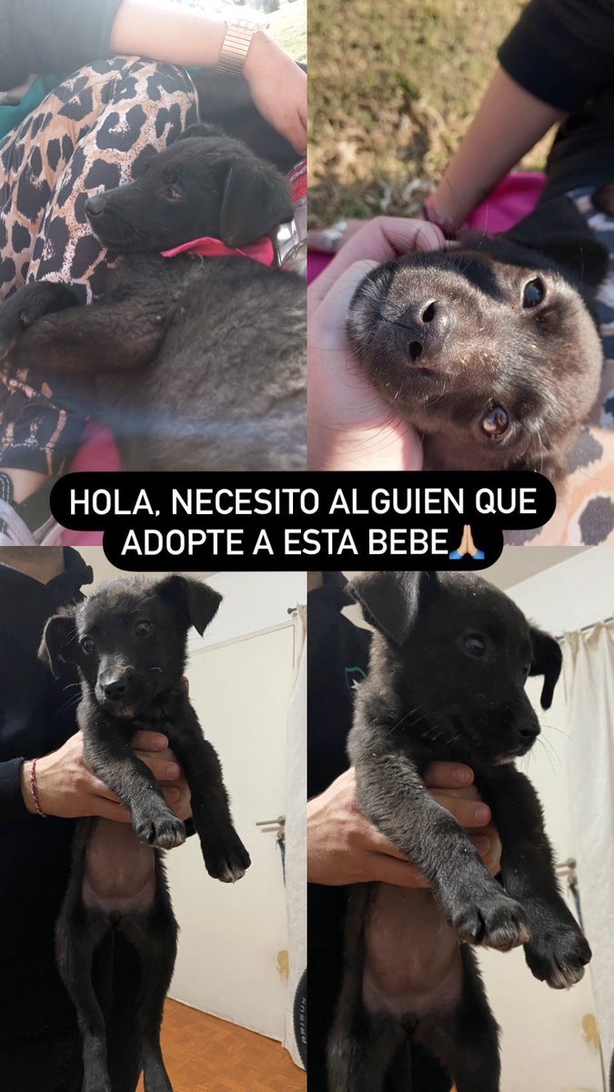 COMPARTIR POR FAVOR!!!
