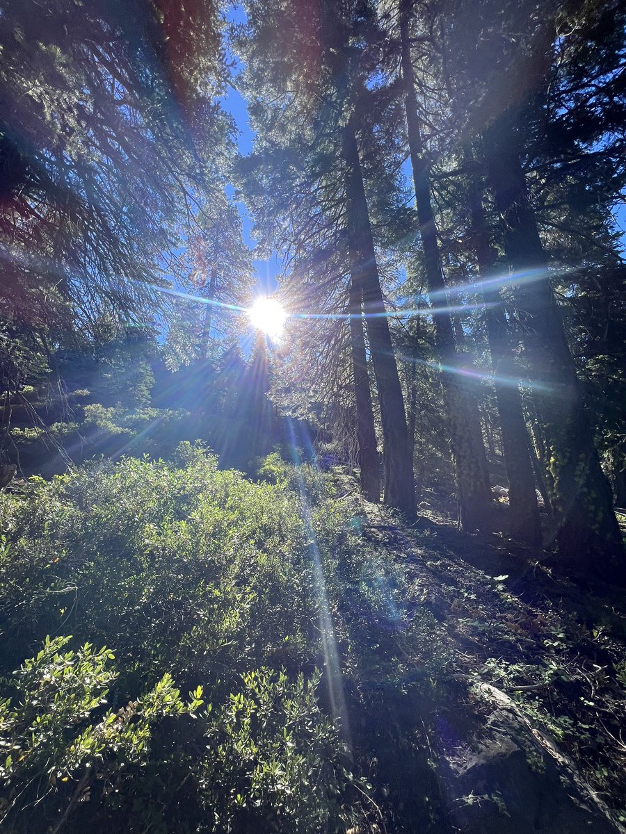 Tanner_Not_Tan's tweet photo. Update: Tahoe was awe striking! Easily one of the most beautiful places I’ve seen. Had the time of my life hiking waterfalls, jumping off boulders, paddle-boarding, and more! https://t.co/JkIJeSRHlu