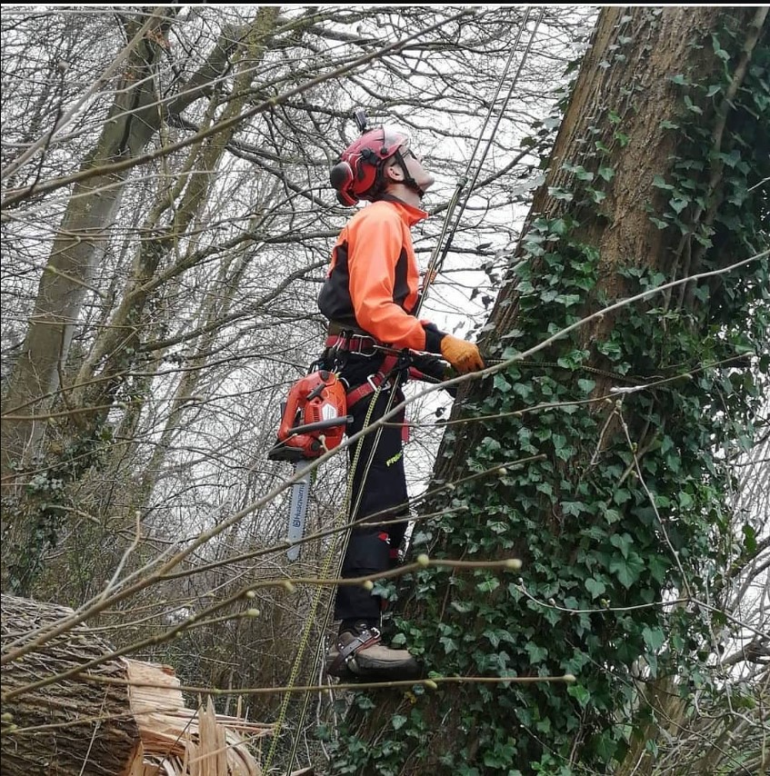 Follow her/his instagram for more post
#logger #logging #treecutting #arboristVia <a href="/aleksendre_/">aleksendre</a>